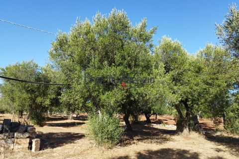 Landejendom i Ostuni, Brindisi, Ostuni - € 90.000 | Ref: 172622 - foto 7